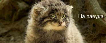 Новые криптовалюты добавлены на платформу обмена!