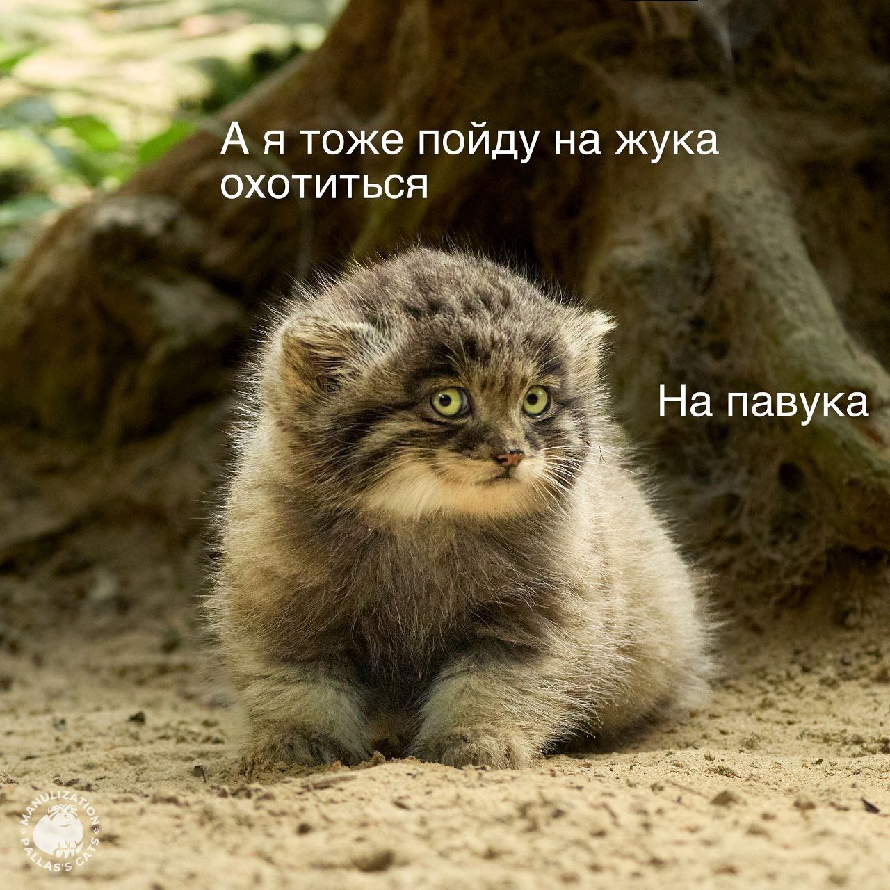 Новые криптовалюты добавлены на платформу обмена!